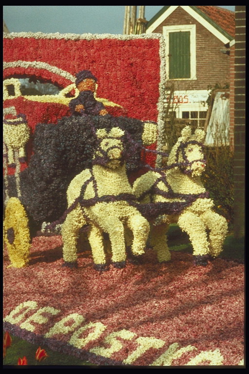 Композиция-карета с лошадками выполненна с разноцветных тюльпанов