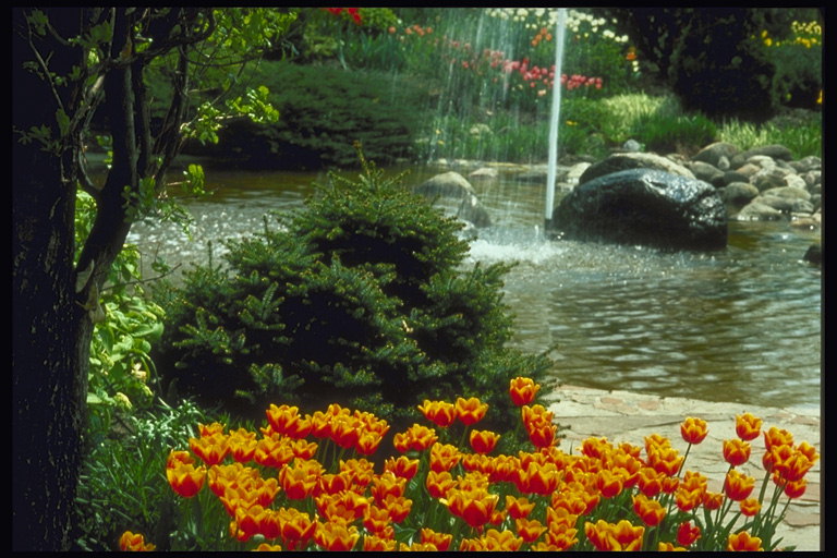 Park zone. La fontaine, des pierres, des arbres et des plates-bandes de tulipes