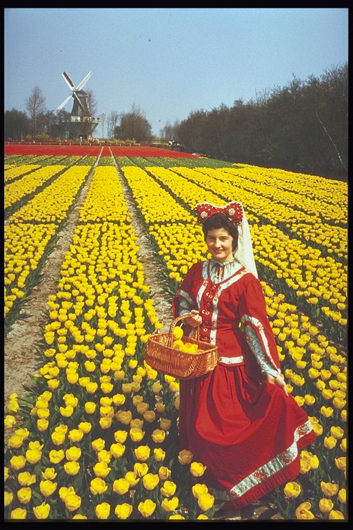 Kvinnen i nasjonal drakt i et felt av gule tulipaner
