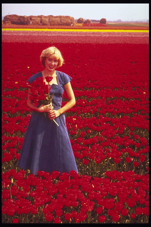 Mergaitė su puokštę raudonų tulpių