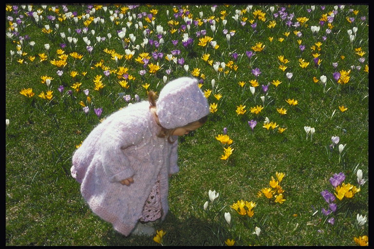 A pequena menina no gramado com tulipas