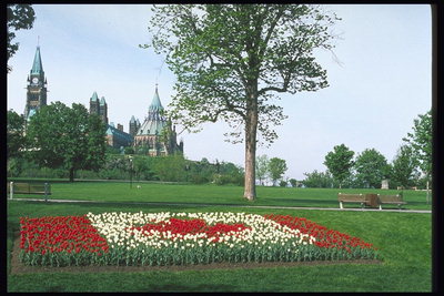 Часовня, парк, композиция с красных и белых тюльпанов
