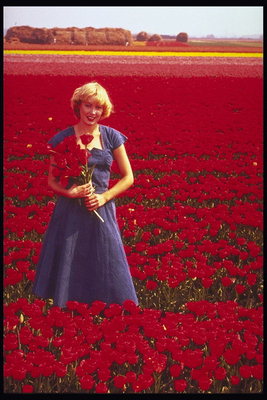 Jente med en bukett røde tulipaner