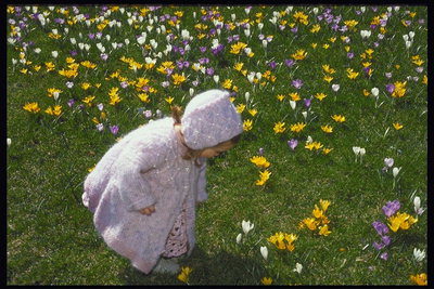 チューリップとの芝生の上の少女