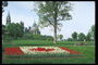 Kaplica, park, kompozycja z czerwonych i białych tulipanów