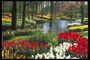 Park zone, en sammensætning med tulipaner. Floden, træer
