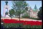 Castle, a monument, a flower-bed of red tulips