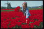 Girl trên trồng màu đỏ của hoa tulip