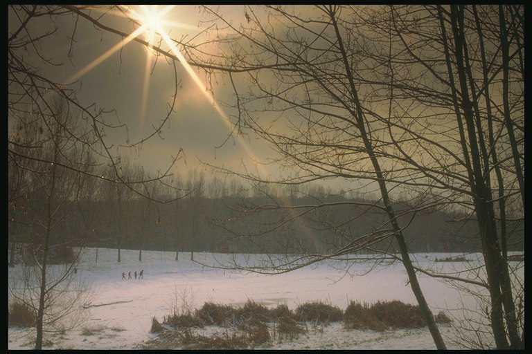 Vinter landskap. Fält i strålar av den sjunkande solen
