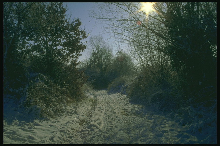 Krajoliku. Winter road