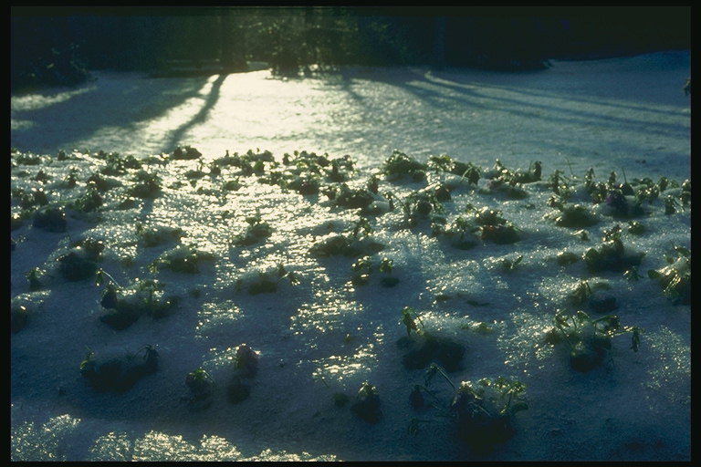 الميداني في فصل الشتاء