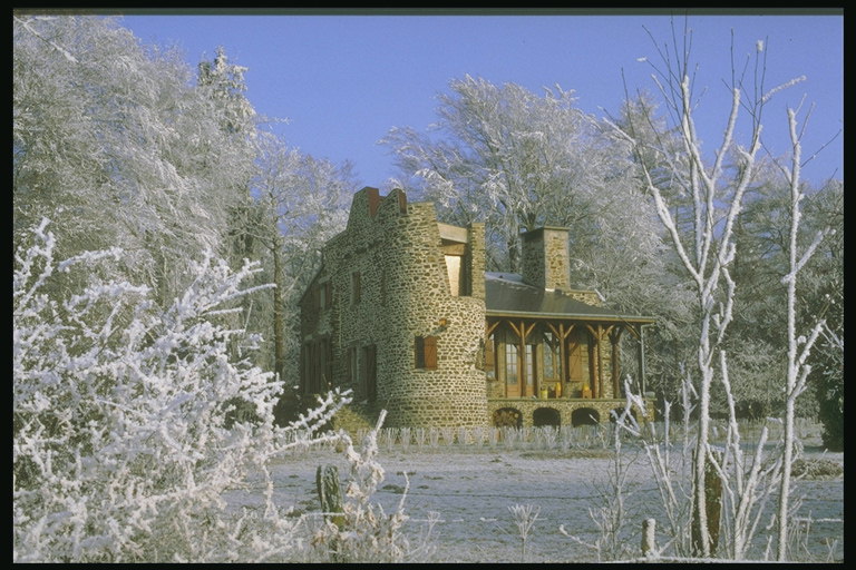 Zamek w zimowy krajobraz