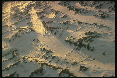 Terres cobertes per la neu