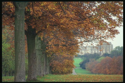 Осень в парке на фоне замка