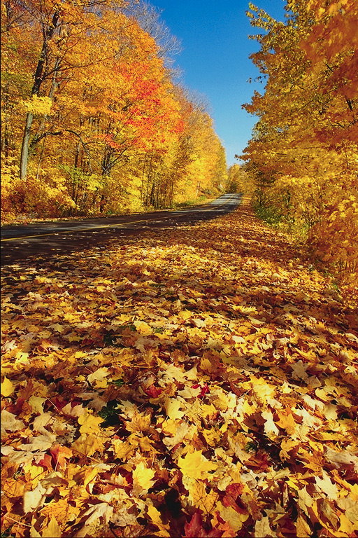 Осенняя панорама