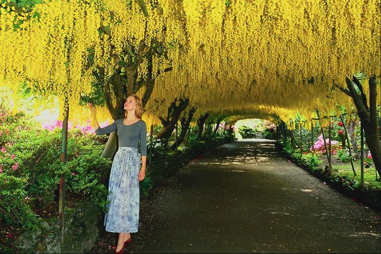Tunnel rumenih cvetov drevesa