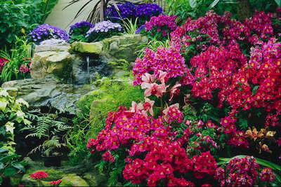 花壇。 さまざまな色や形の