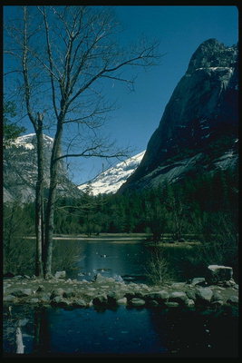 Landscape. The lake at the foot of the mountains