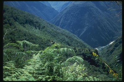 Maastikku. Mt. Roheline rohu