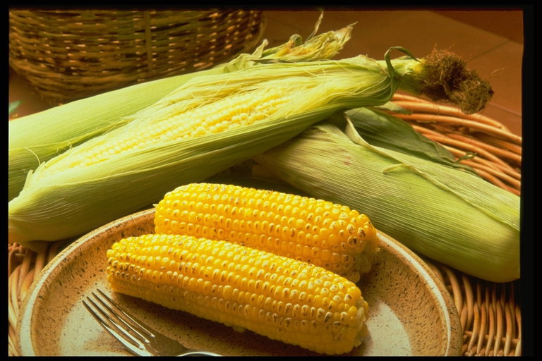 Кукуруза с золотистыми зернами