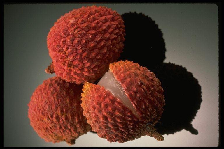 Плод с толстой кожурой красного цвета