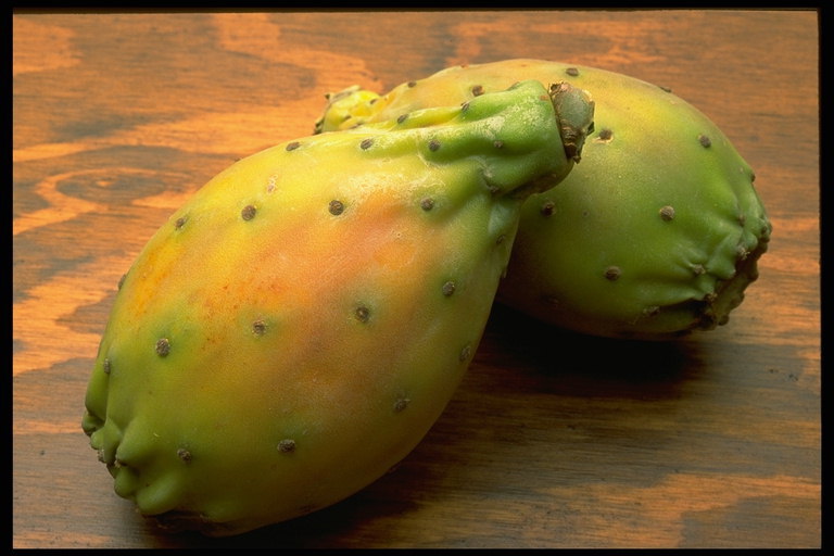 Зеленая кожура папайи