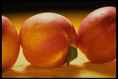 Персики с гладкой шкуркой