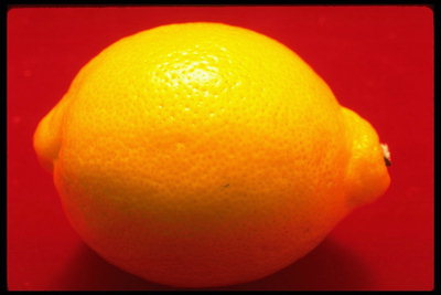 Спелый лимон на красном фоне 