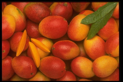 Сладкие плоды манго