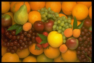 Груши, цитрусовые, виноград, абрикосы и яблоки