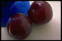 Темно-бордовые плоды яблок возле темно-синей вазы