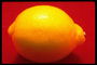 Спелый лимон на красном фоне 