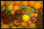 Груши, цитрусовые, виноград, абрикосы и яблоки