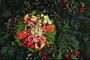 Овощная нарезка. Перец, спаржа, помидоры и цветная капуста