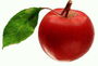 Спелое и сочное яблоко