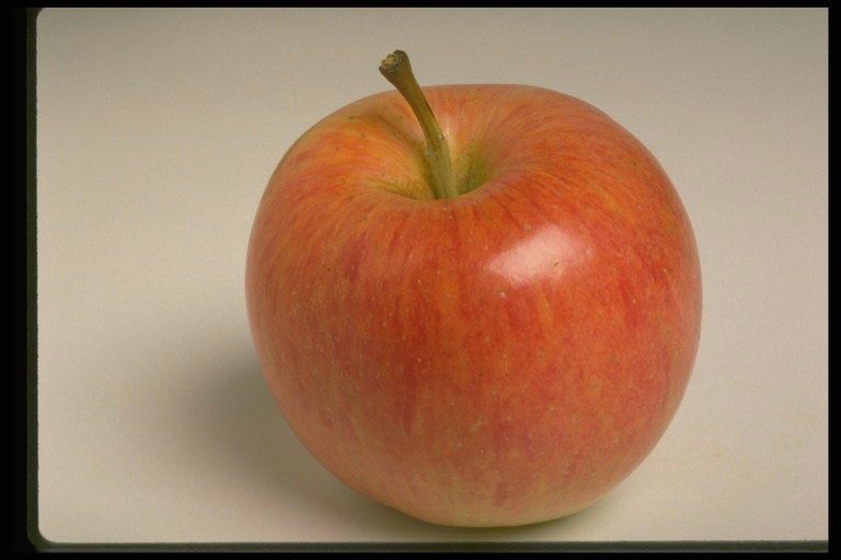 Яблоко в красно-оранжевую полоску