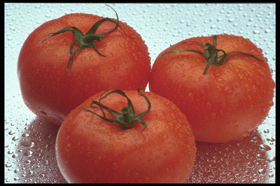 Спелые томаты