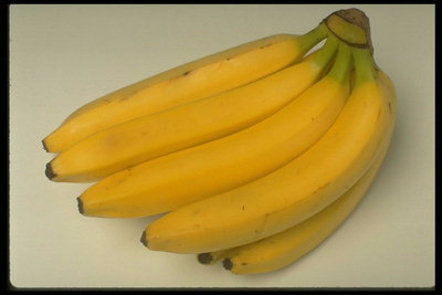 Ветка спелых бананов