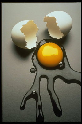 Яйцо. Скорлупа, белок, желток