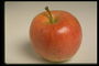 Яблоко в красно-оранжевую полоску