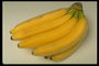 Ветка спелых бананов