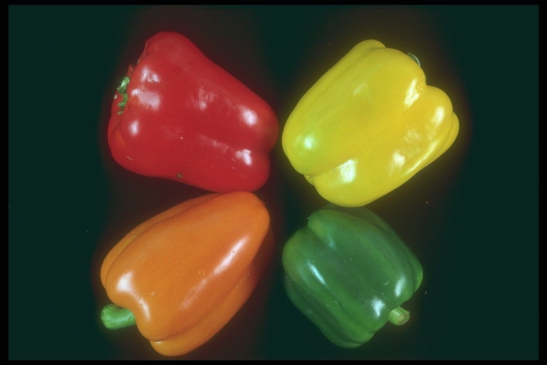 Оранжевый, желтый, зеленый, красный сладкий перец