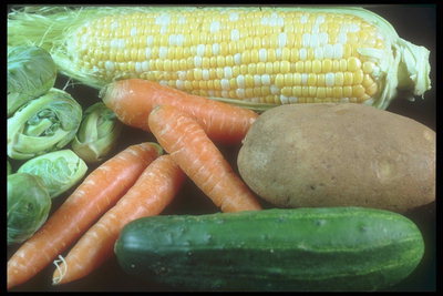 Качанчики капусты, оранжевая морковь, огурец, кукуруза, картофель