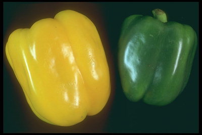 Перчинки желтого и зеленого цвета