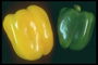 Перчинки желтого и зеленого цвета