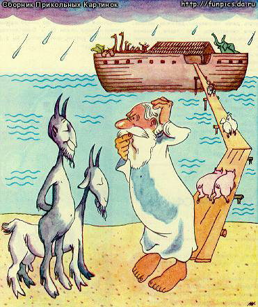 Решения  давались сложно Ною при прописке на ковчег