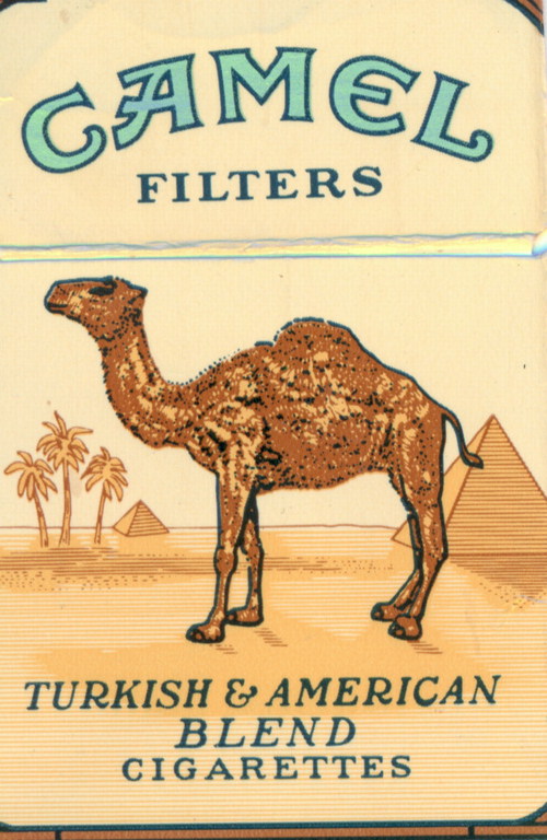 Пачка сигарет CAMEL. Рисунок верблюда на фоне пирамид