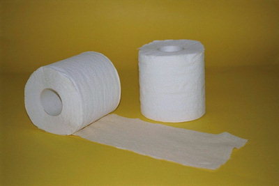 Пара рулонов туалетной бумаги