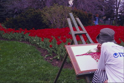 Художник рисует на поле в тюльпанах