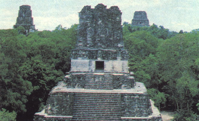De tempel met een steen tussen de groene bomen